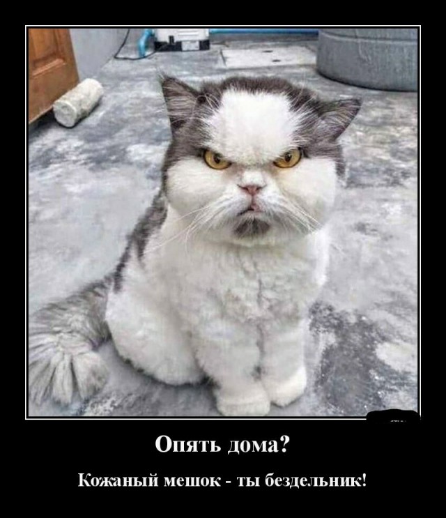 Немного картинок для настроения 25.05.20