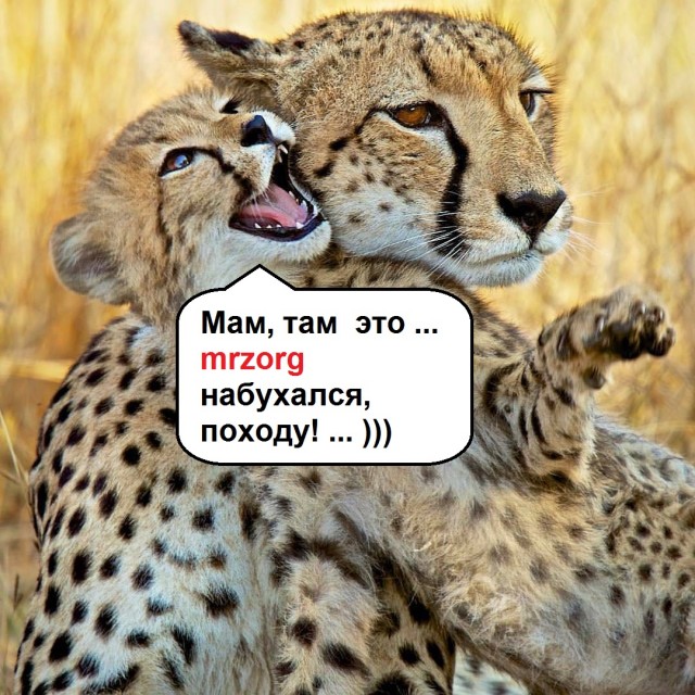 Мать