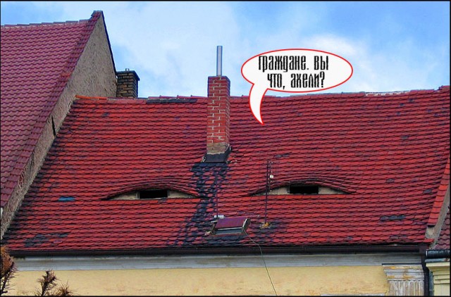 Фотожаба: Пошли гулять по крышам!