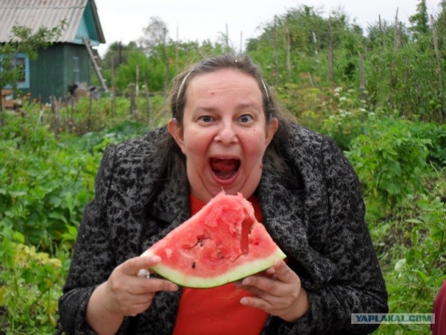 Фотожаба: Принцесса ФИОНА