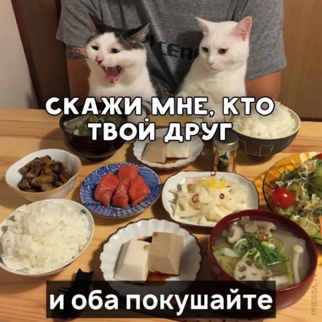 Картинки и мемы для настроения 008
