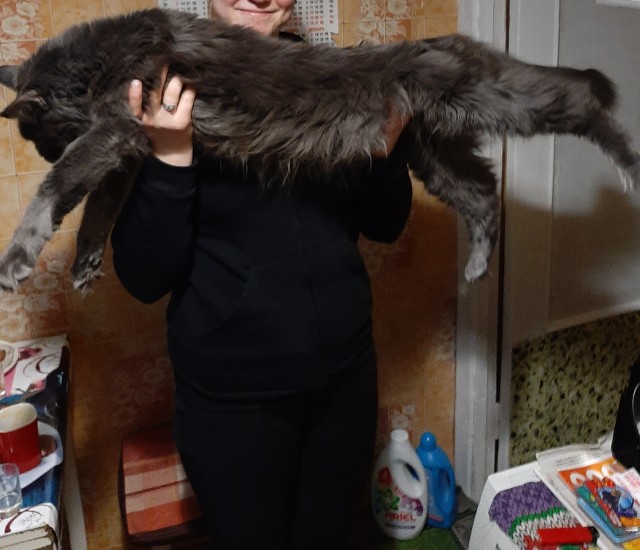 С новым годом, у нас пополнение