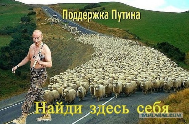 Суд над Навальным устроили прямо в отделе полиции. Адвоката уведомили об этом за несколько минут до заседания