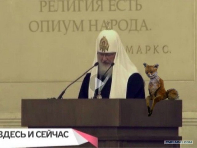 Таксидермия + наркомания