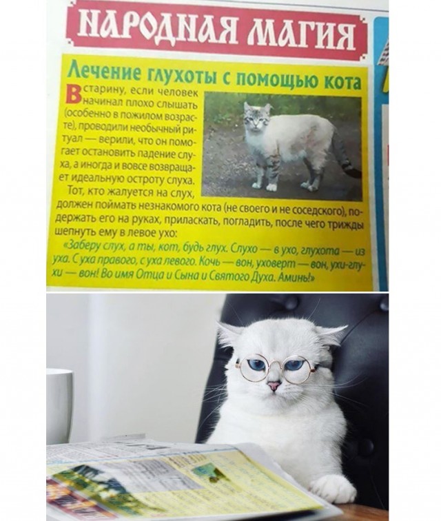 С миру по нитке 6.02.21
