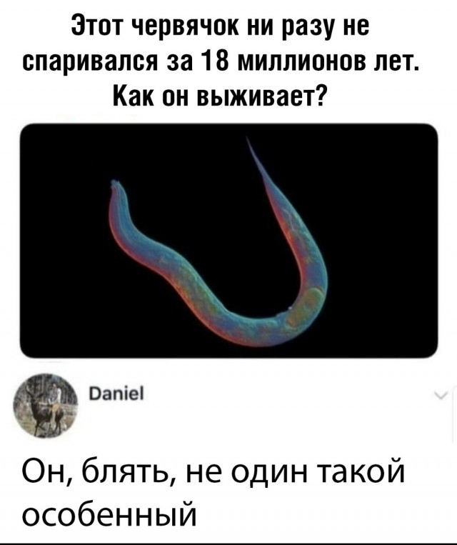 Картинки и мемы для настроения