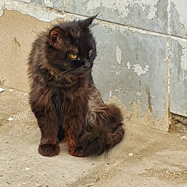Оренбург за два дня