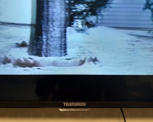 Как разорили гордость немцев-фирму Telefunken