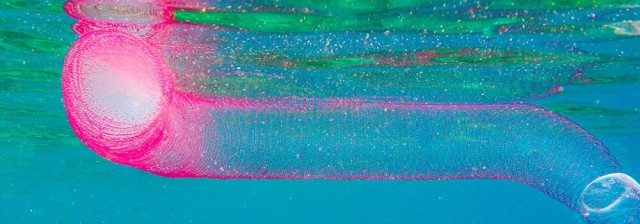 Пиросома: 15-ти метровая призрачная сосиска. Что это за невероятное существо?