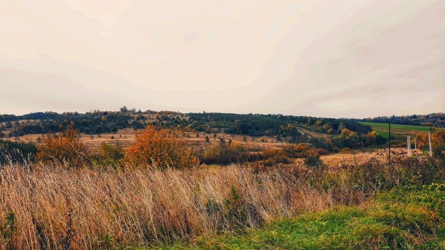 Осенние поля