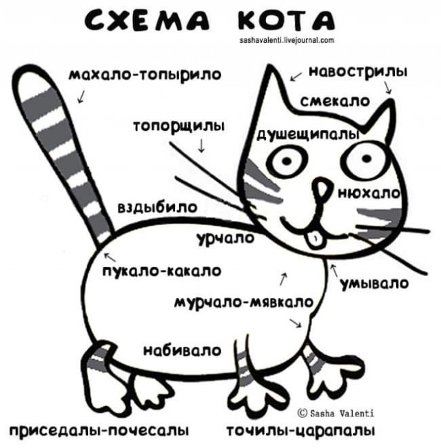 Всяческие картинки 24.11.2021