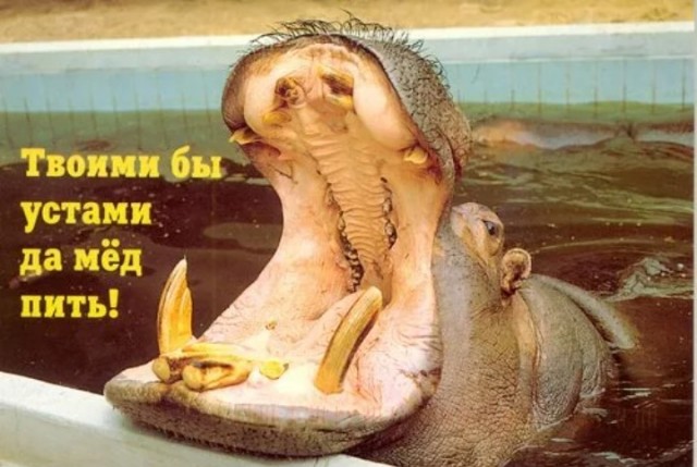 Министр экономики