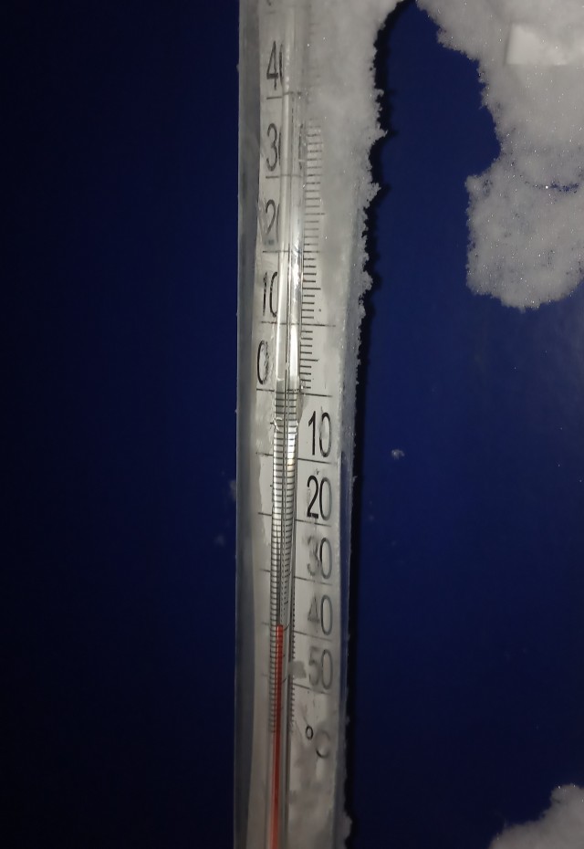 На Ямале молодой тундровик три дня скитался в обледенелом лесу при -40 °C и штормовом ветре