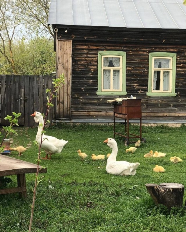 Никогда не думал, что что-то подобное буду здесь выкладывать. Выложу