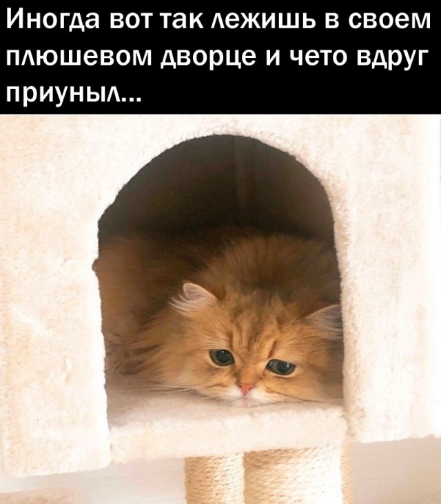 Так себе картинки 03.04.22