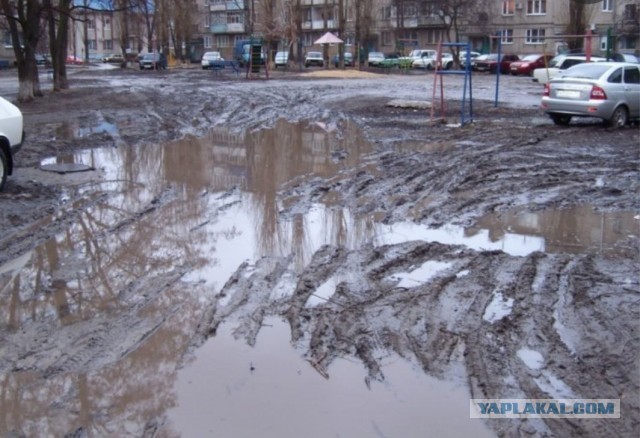 Почему города каждую весну утопают в грязи и собачем *овне?