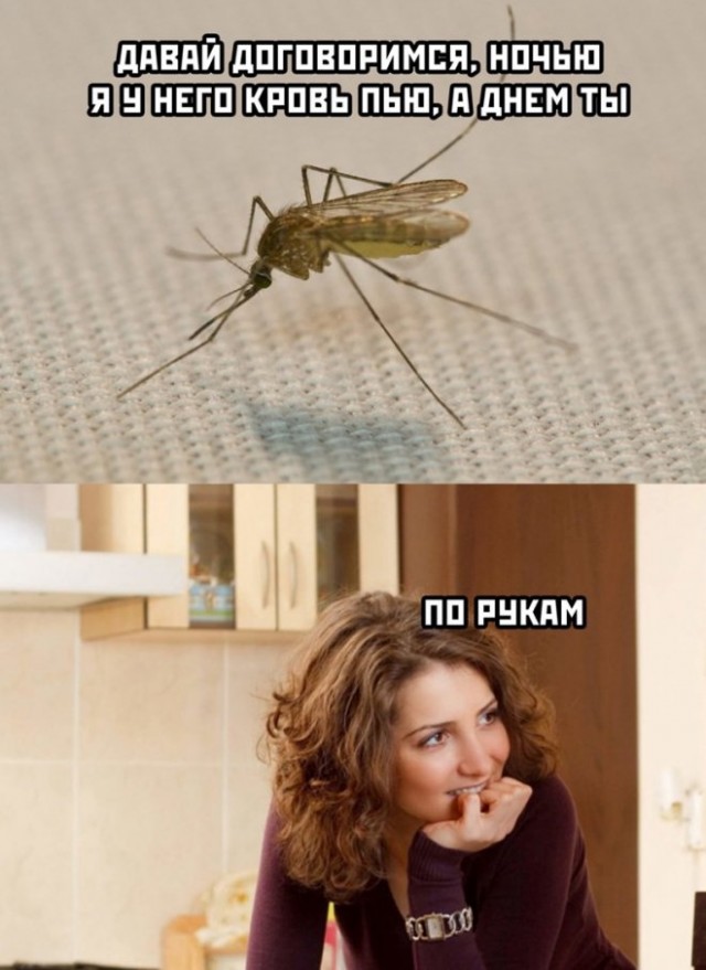 Картинки и мемы, выходные продолжаются