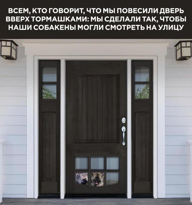 Так себе картинки 02.06.22