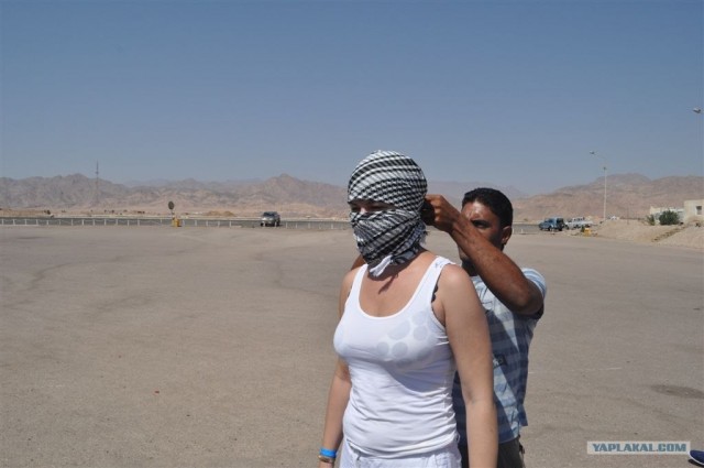 Как я ездил в Египет