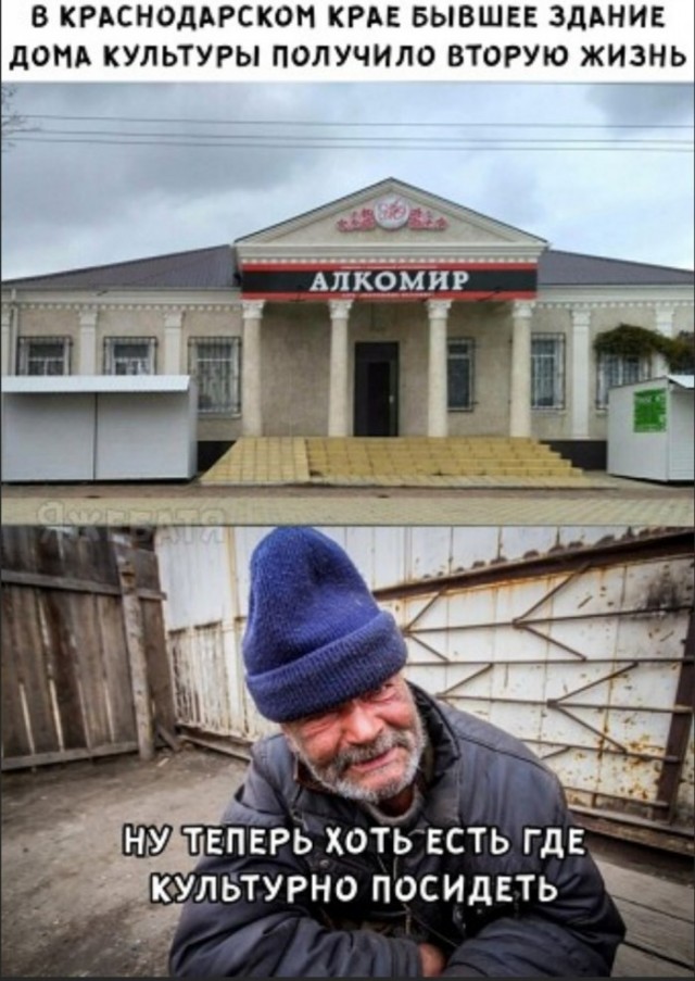 Весёлый полтишок 08.11.22