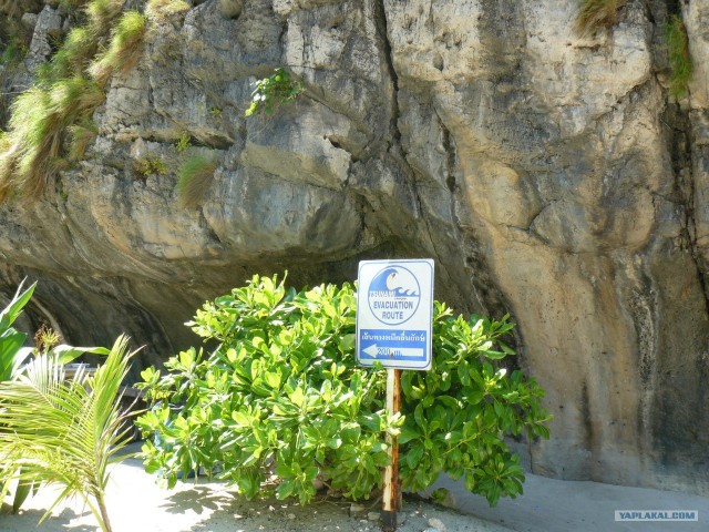 Немного Тая