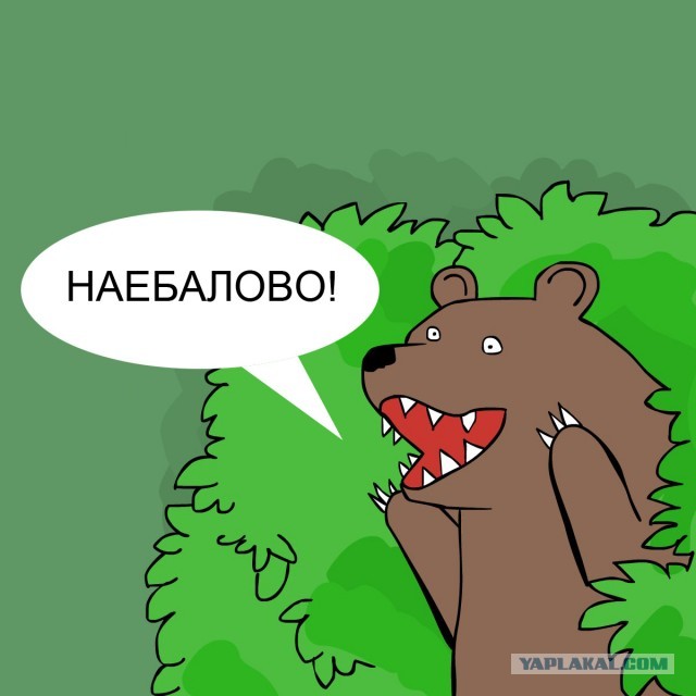 Чё реально  ни разу медведя не выключали?