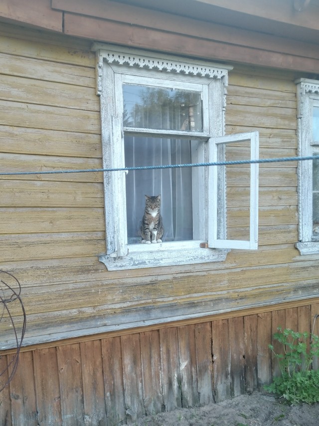 Себастьяна себе завёл