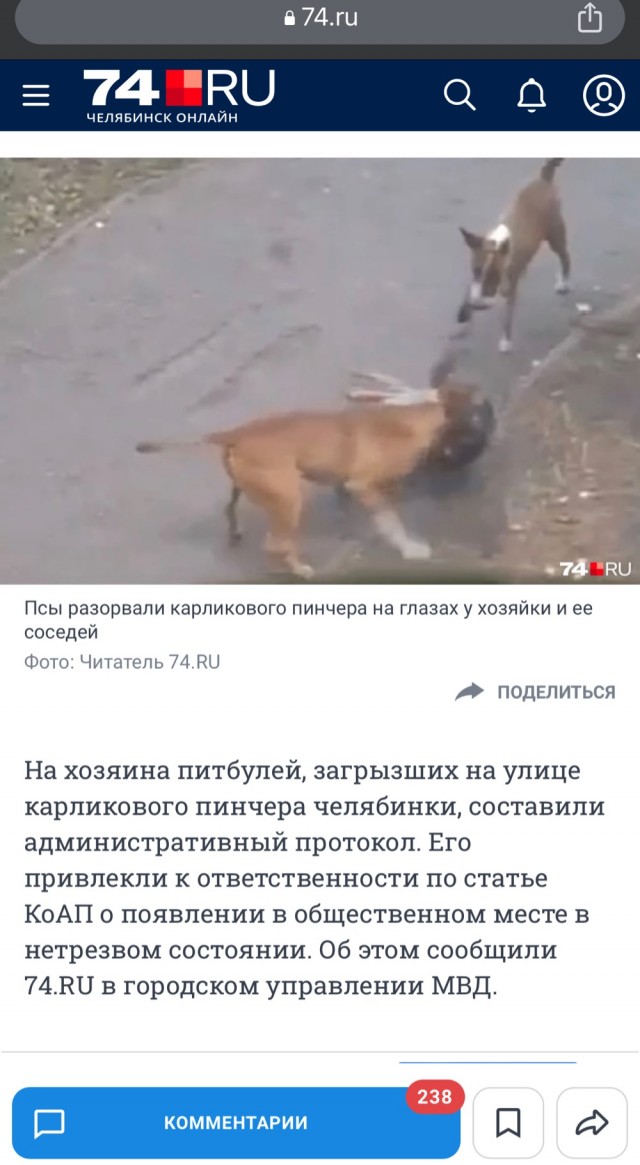 В России могут ввести штрафы за выгул опасных собак без намордника