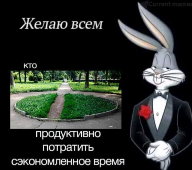 Весёлый полтишок 03.09.23