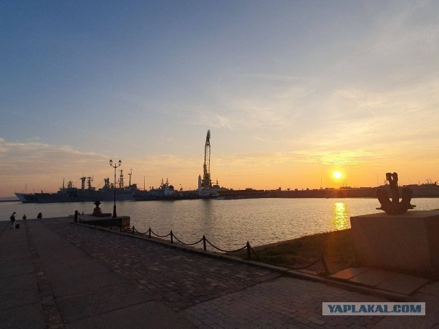 Хозяйство у жениха маленькое, жену не найдет!