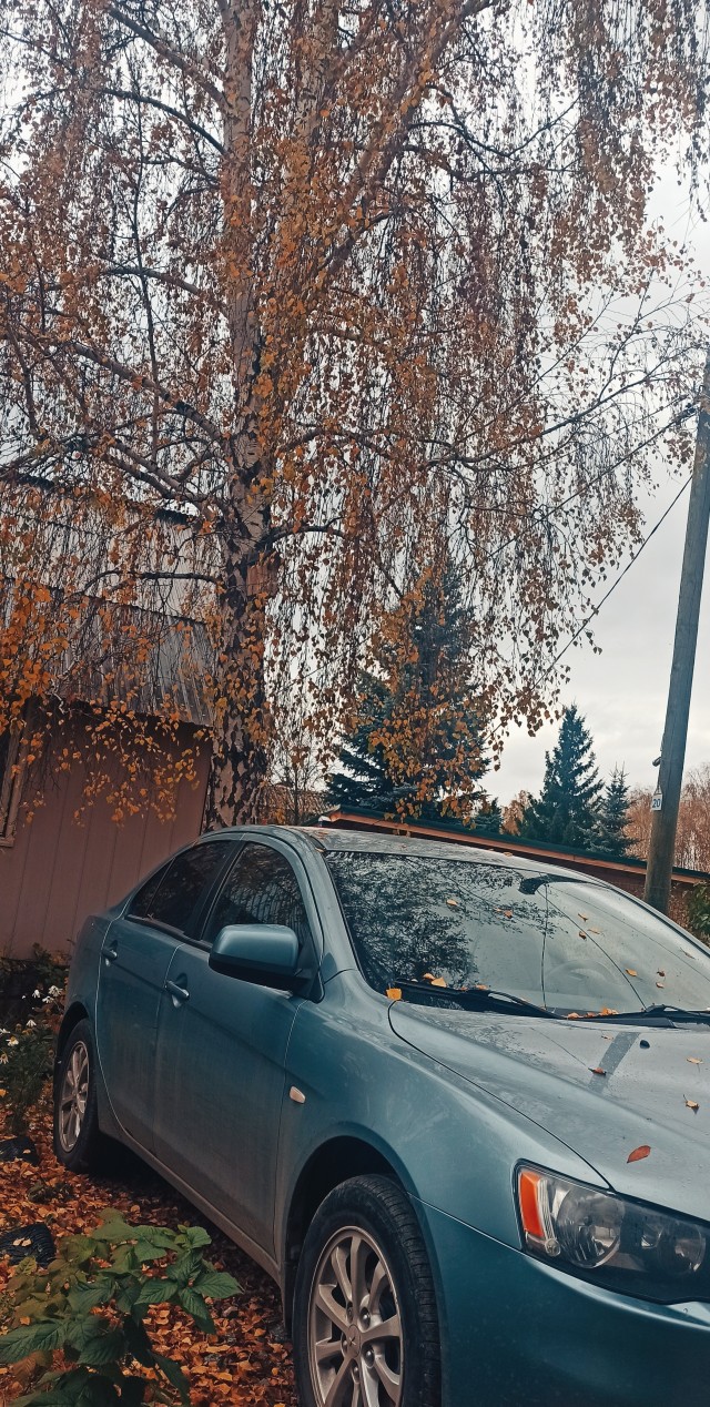 Октябрь