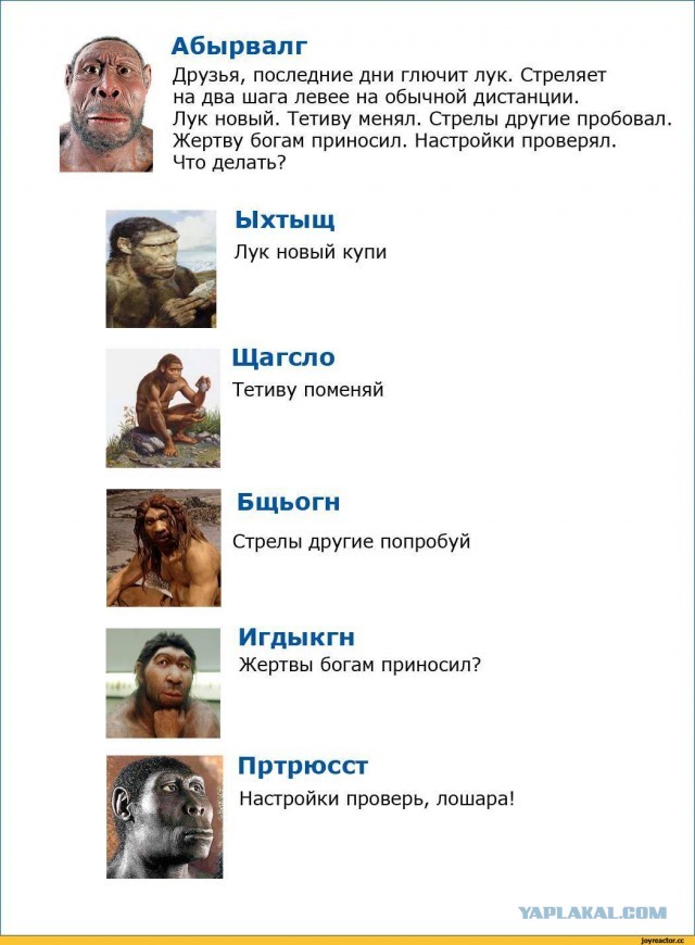 Спас тупую утку, вопросы по содержанию