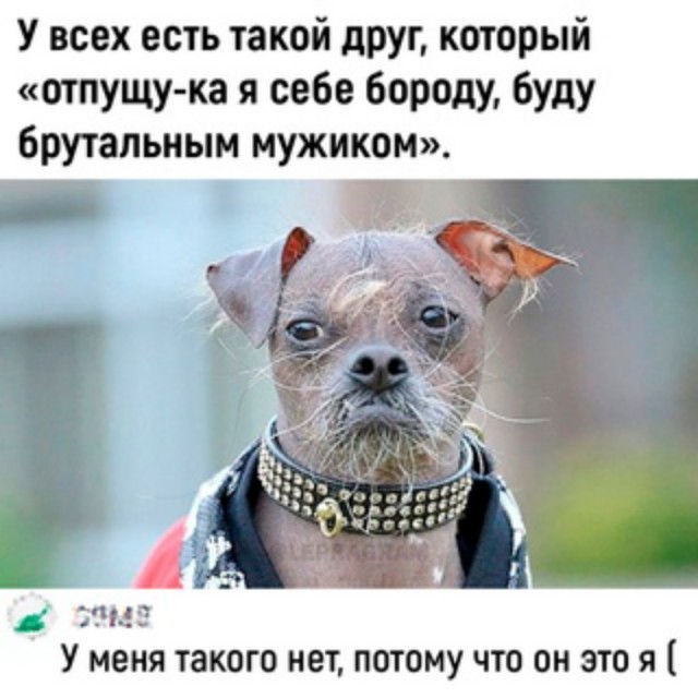 20 картинок