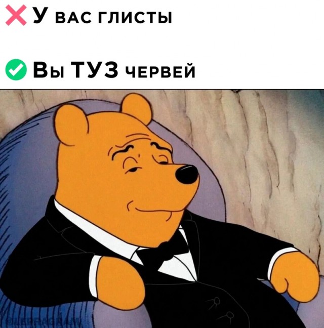 Весёлый полтишок 29.01.24