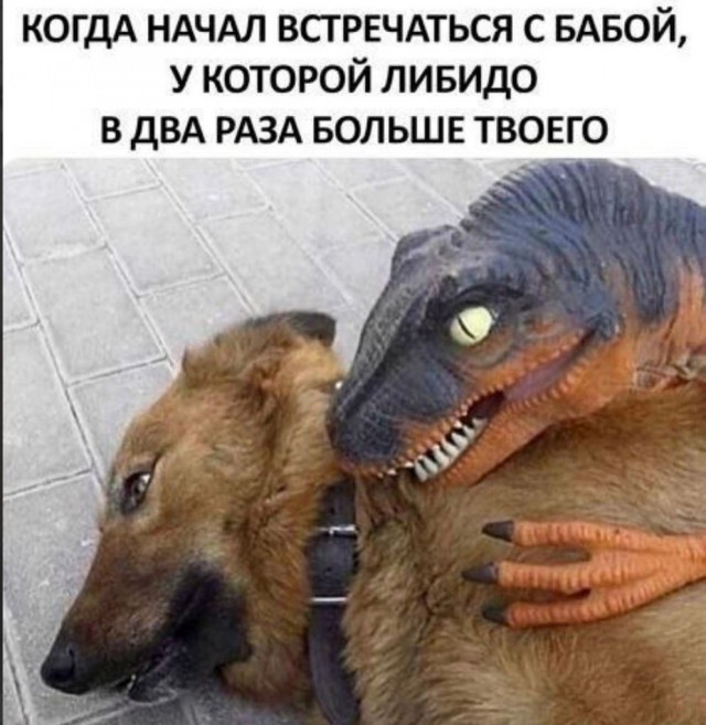 Дурдом (Бояны)