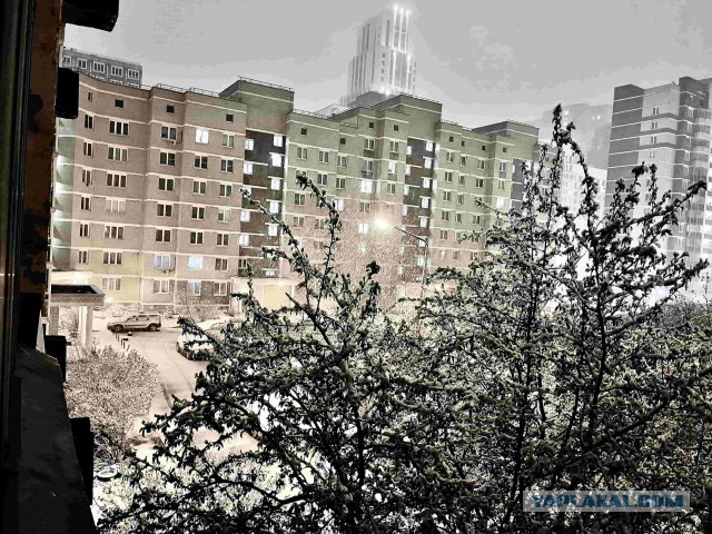 Шашлык, рецепты маринада, все про шашлык!