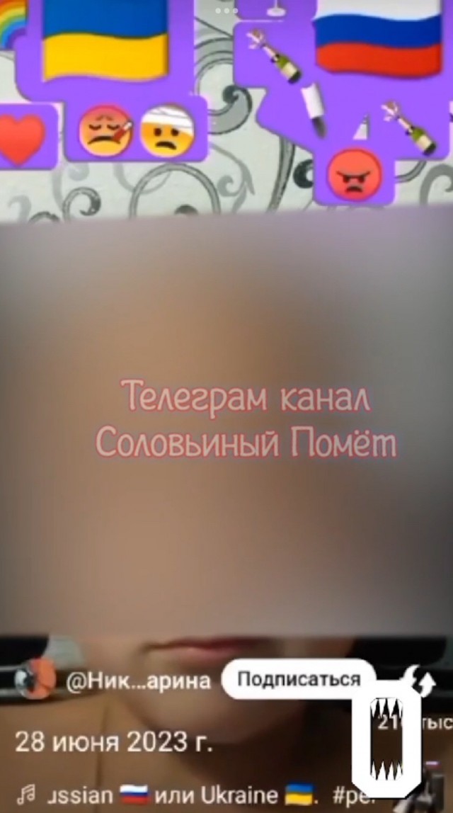 В Крыму 10-летняя девочка дискредитировала ВС РФ