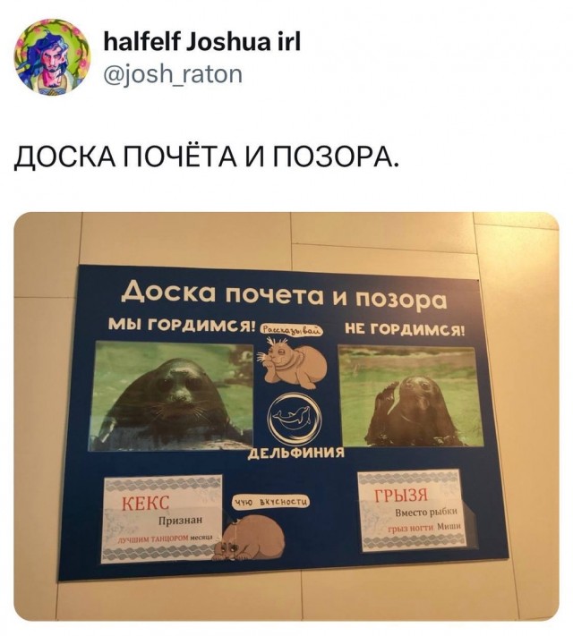 Так себе картинки 02.12.24
