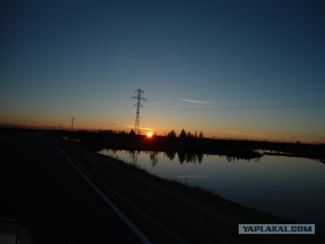 Красота! Лето на Ямале. Фото