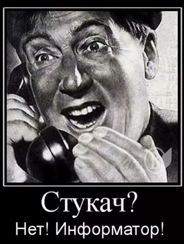 Власти Мурманской области призвали доносить на «проявления неуважения к государству»