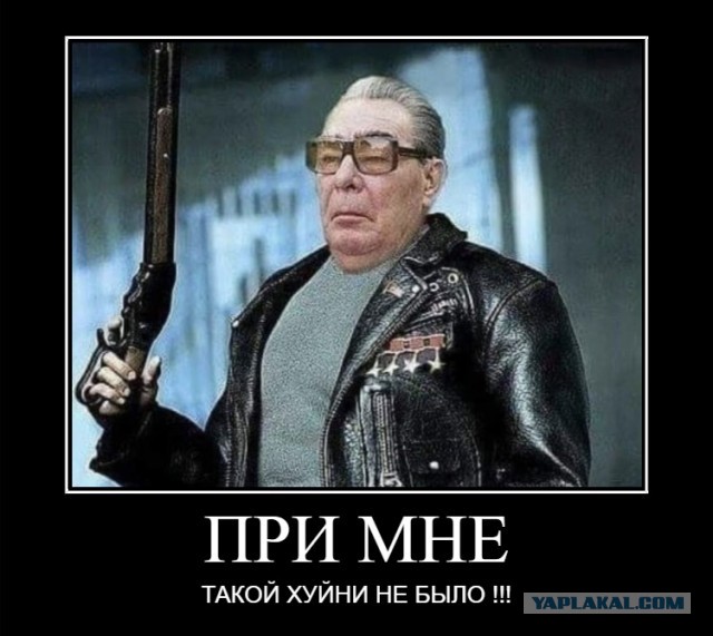 Дорогой Леонид Ильич!