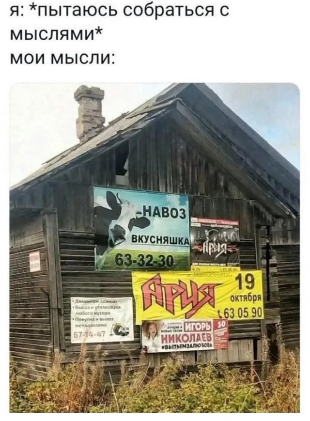 Так себе картинки 26.09.25