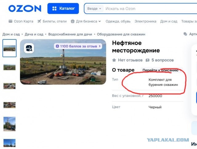 Купить себе нефтяное месторождение можно прямо на Ozon за 700 млн рублей