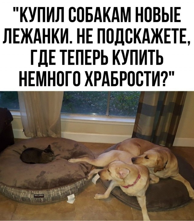 Вторник . Немного картинок