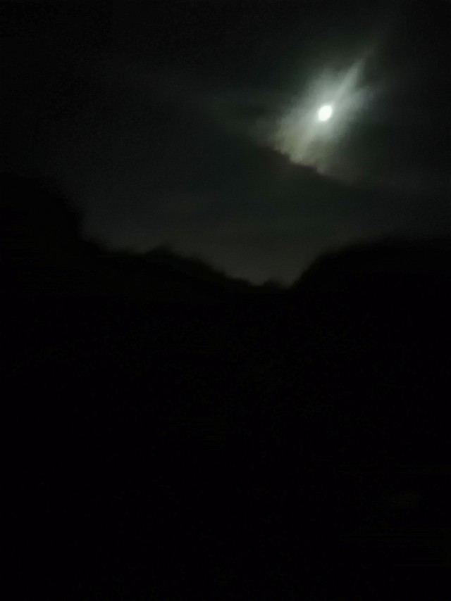 Красота