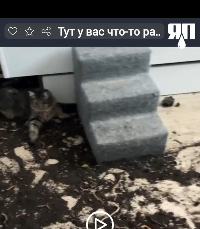 Тут у вас что-то рассыпалось