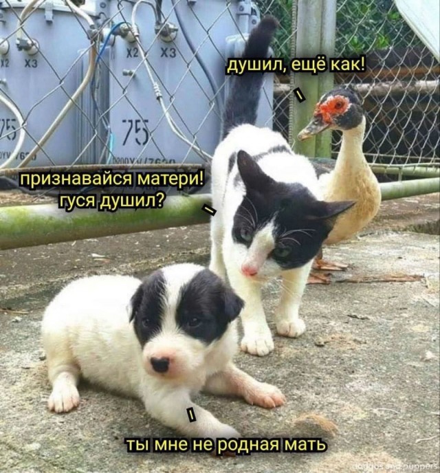 Пятницы картинки