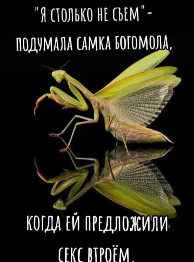 Вот и вся любовь