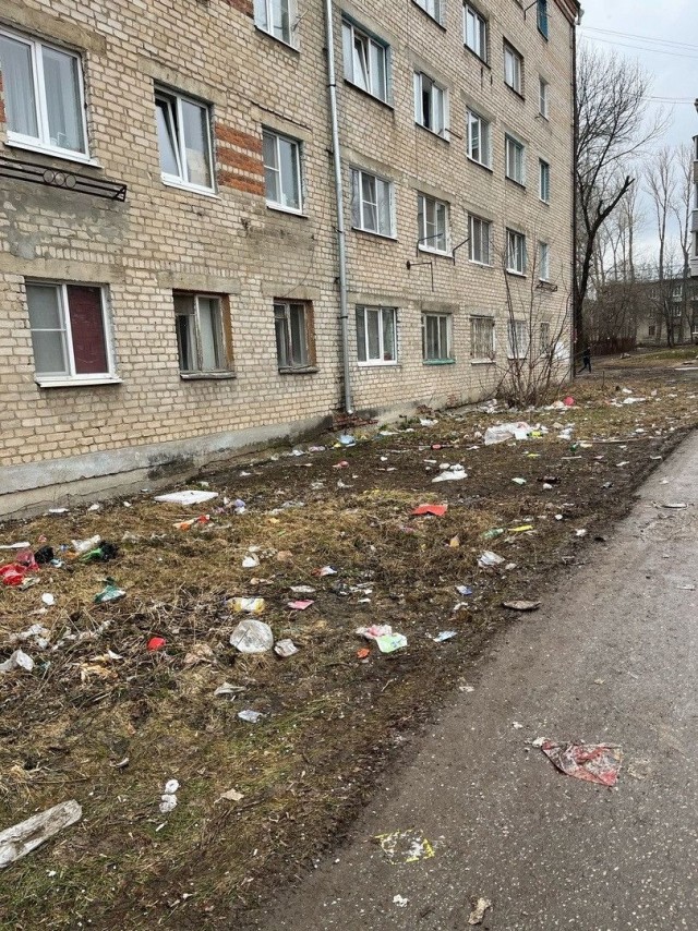 Собачники все дворы окурками забросали