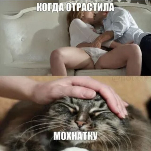 Про женское бритье!